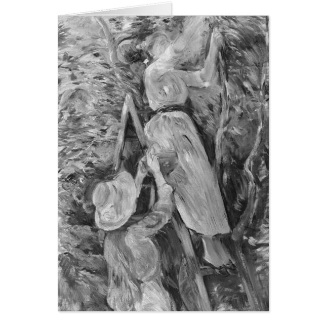 Picking cherries, 1891 (Front)