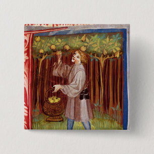 Picking fruit 15 cm square badge