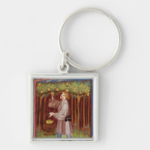 Picking fruit key ring