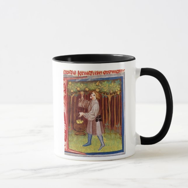 Picking fruit mug (Right)