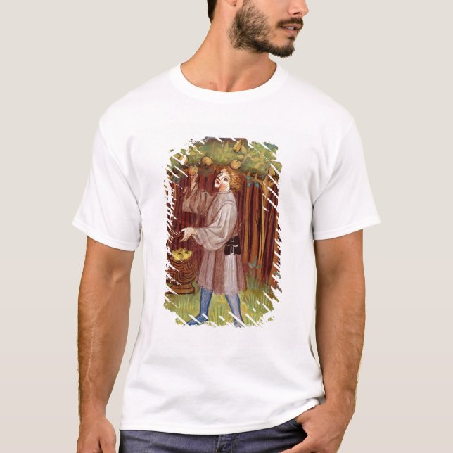 Picking fruit T-Shirt (Front)
