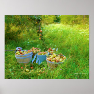 Picking Pears Value Poster Paper (Matte)