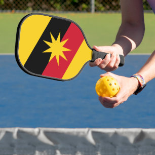 Pickleball Paddle
