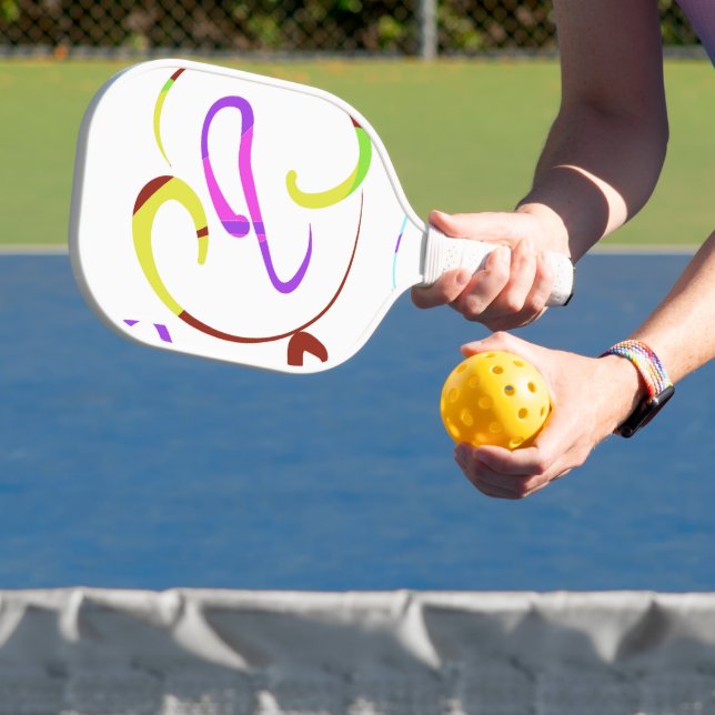 pickleball paddles (Insitu)
