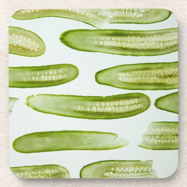 Pickles Green Coaster (Front)