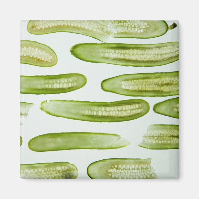 Pickles Green Magnet (Front)