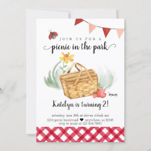 Picnic Birthday Invitation for Girl