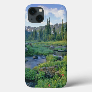 Picnic Creek in the Jewel Basin of the Swan iPhone 13 Case