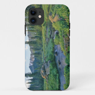 Picnic Creek in the Jewel Basin of the Swan iPhone 11 Case