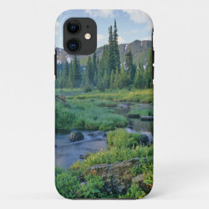 Picnic Creek in the Jewel Basin of the Swan iPhone 11 Case