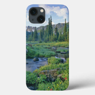 Picnic Creek in the Jewel Basin of the Swan iPhone 13 Case