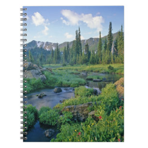 Picnic Creek in the Jewel Basin of the Swan Notebook