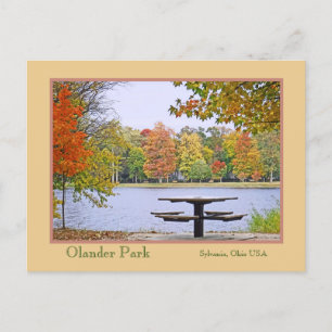 Picnic Spot By The Lake,Surrounded By Autumn Colou Postcard