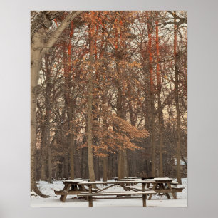 Picnic Tables During Winter Poster
