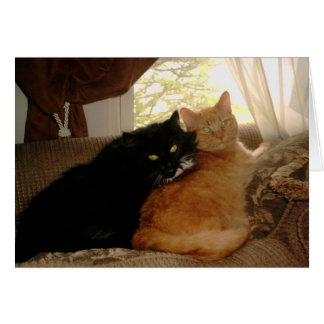 PICT0017 Kitty and Tishabella