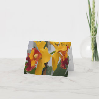 PICT0396, Hope blooms Thank You Card