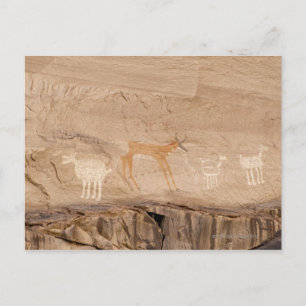 Pictographs of antelope, sheep and goats on postcard