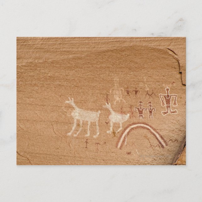 Pictographs on sandstone canyon walls in Canyon Postcard (Front)