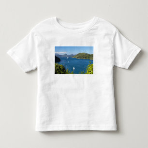 Picton Harbour, Marlborough Sounds, South Toddler T-Shirt