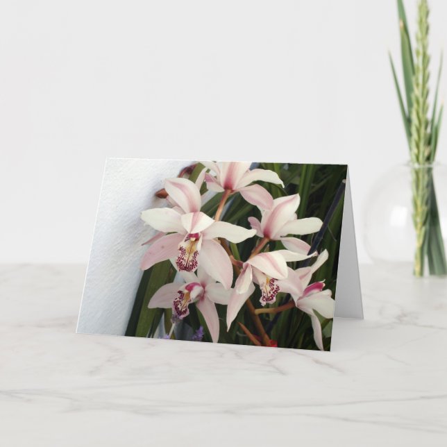 Picture 003 card (Front)