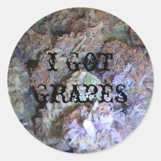 Picture 005, i got grapes classic round sticker