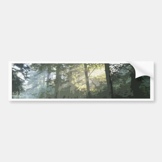 PICTURE 133 BUMPER STICKER (Front)