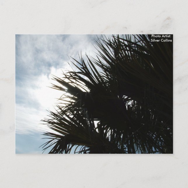 Picture 150, Photo Artist: Silver Collins Postcard (Front)