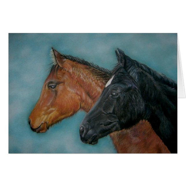 picture cute black colt chestnut foal horses (Front Horizontal)