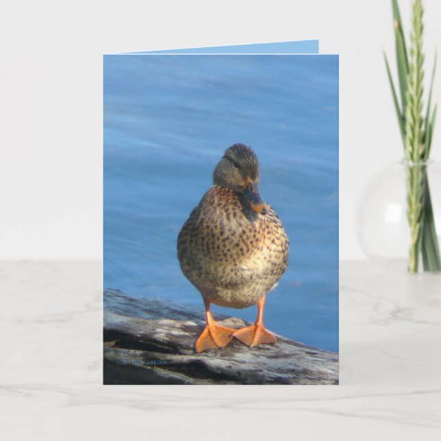 Picture Day Card (Front)