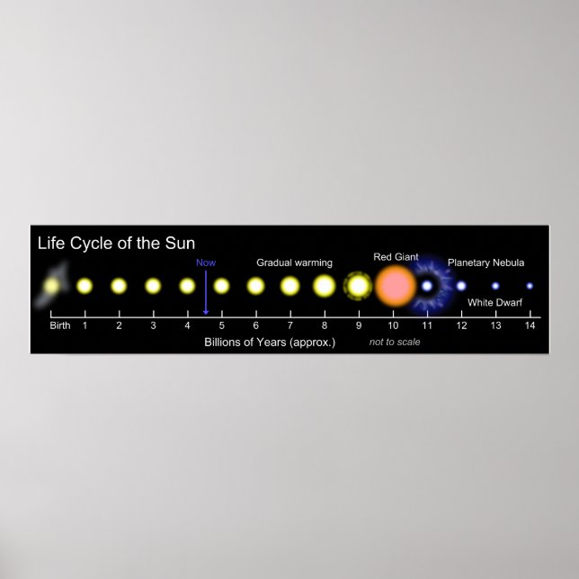 Picture Diagram of the Solar Life Cycle of the Sun Poster (Front)