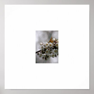 picture frame poster