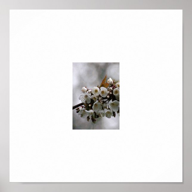 picture frame poster (Front)