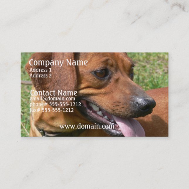 Picture of a Dachshund Business Card (Front)