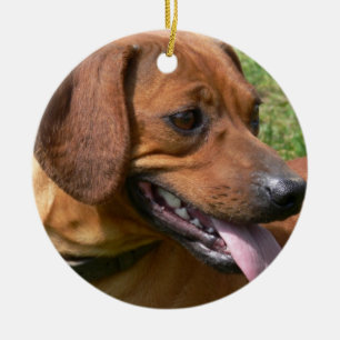 Picture of a Dachshund Ornament