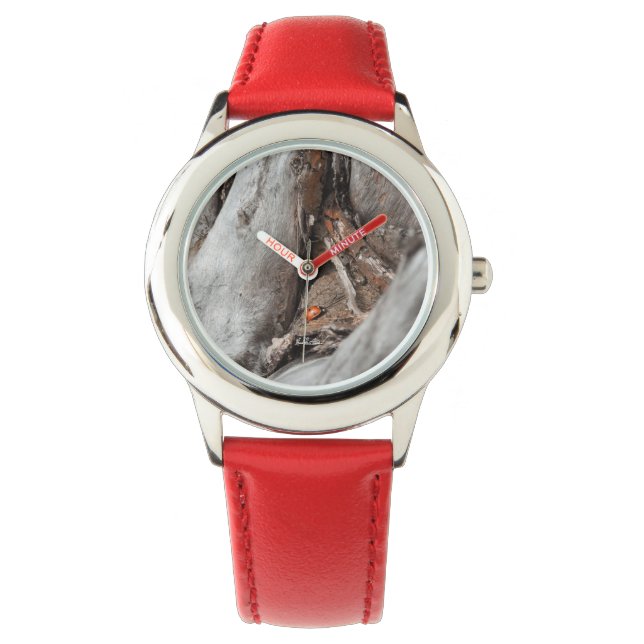 Picture of a ladybug watch (Front)