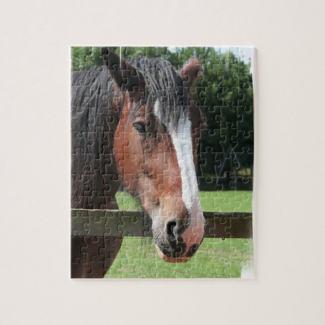 Picture of a Quarter Horse Puzzle (Vertical)