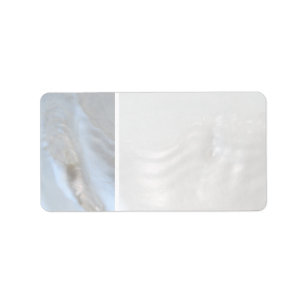 Picture of a Shell. Label