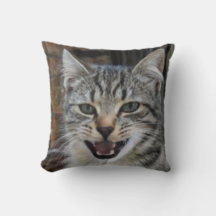 Picture of a wild, excited kitten, cat lovers cushion