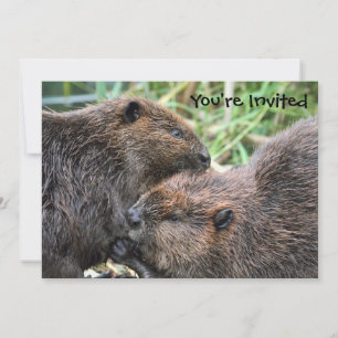 Picture of Beavers Grooming Invitation