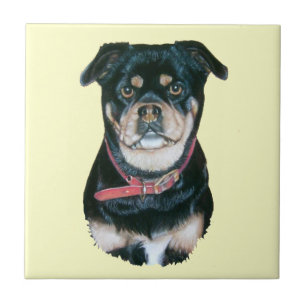 picture of black and tan pug dog portrait ceramic tile