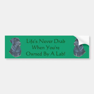 picture of black labrador dog with fun slogan bumper sticker