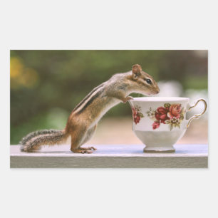 Picture of Chipmunk with China Teacup Rectangular Sticker