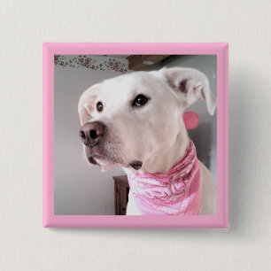 Picture of Cute White Puppy Dog Wearing Pink Scarf 15 Cm Square Badge