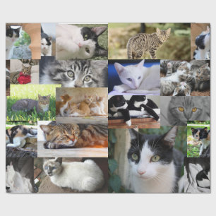 Picture of Different Cats Wrapping Paper