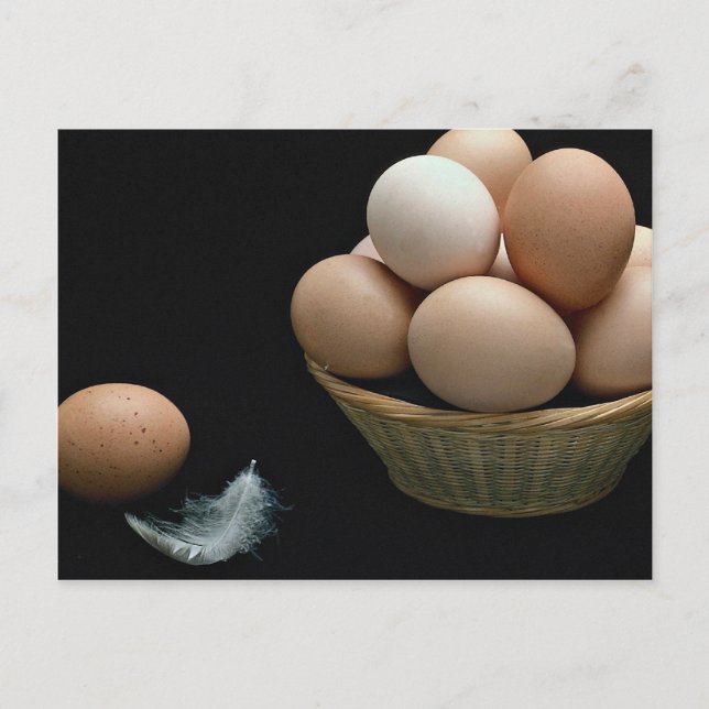 Picture of Eggs arranged in a bowl Postcard (Front)