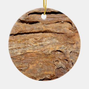 Picture of Fossilised Wood. Ceramic Ornament