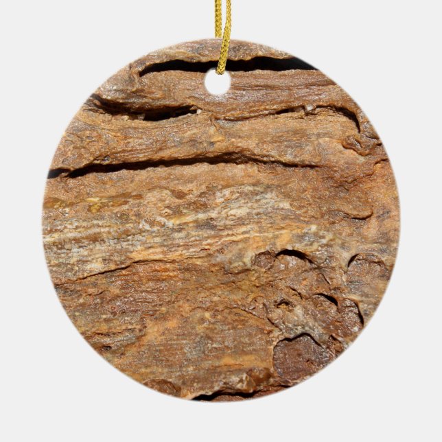 Picture of Fossilised Wood. Ceramic Ornament (Front)