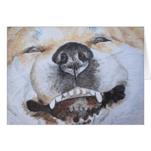 picture of funny cute akita smiling dog