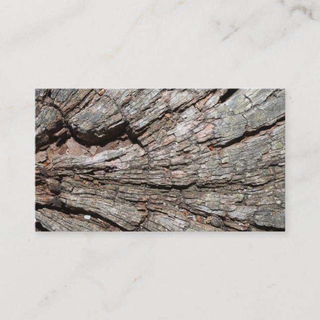Picture of Old Tree Stump Wood Business Card (Front)