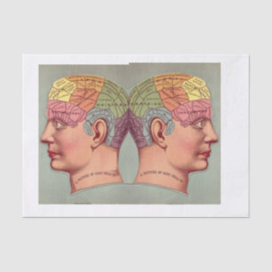Picture of Perfect Health Vintage Anatomy Tissue Paper